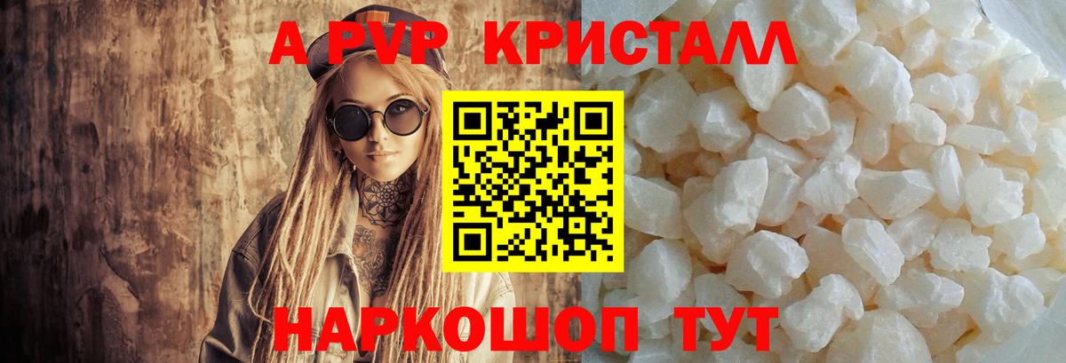 A-PVP СК Петрозаводск