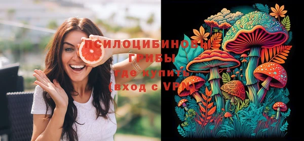 спиды Дмитриев