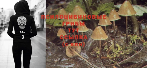 спиды Дмитриев