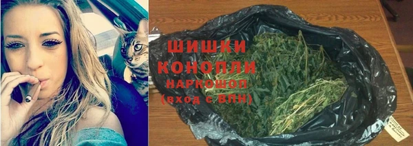 спиды Дмитриев