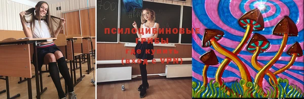прущий лед Дмитров