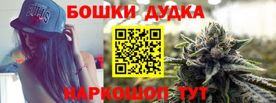 индика Абинск