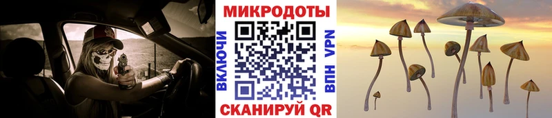 Галлюциногенные грибы мицелий  Петрозаводск 