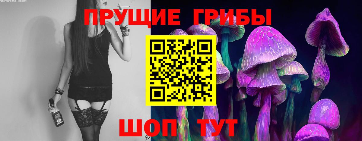 Псилоцибиновые грибы Magic Shrooms Петрозаводск