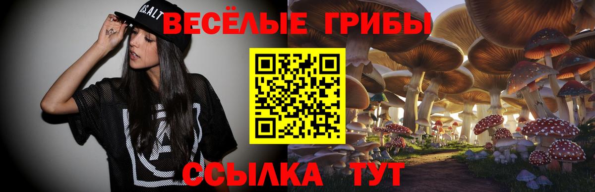 Петрозаводск  Галлюциногенные грибы Psilocybine cubensis  где купить наркотик  Псилоцибиновые грибы GOLDEN TEACHER  Вход с VPN 